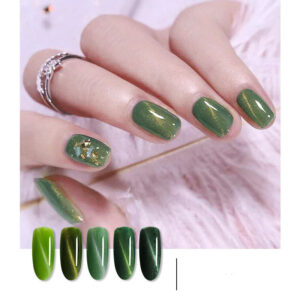Cat-s-Eye-Glue-Nail-Polish-Set-cashymart-35573325463830.jpg